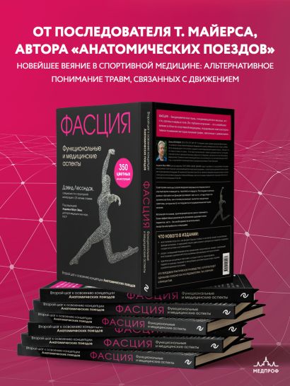 Фасция. Функциональные и медицинские аспекты