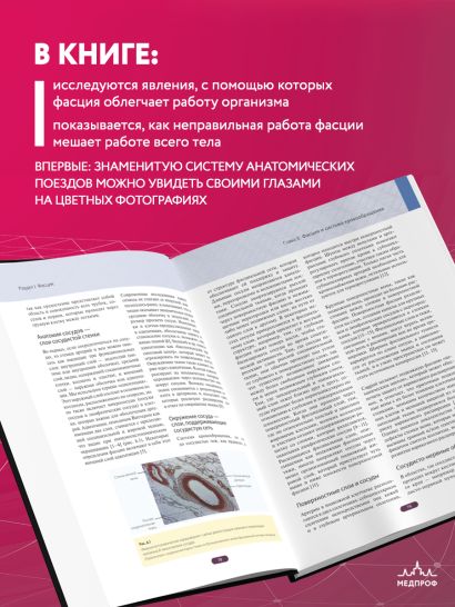 Фасция. Функциональные и медицинские аспекты