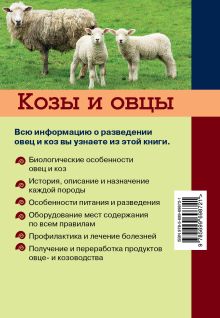 Обложка сзади Козы и овцы Плотникова Елена Владимировна