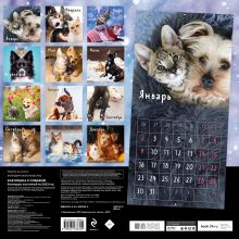 Обложка сзади Как кошка с собакой. Календарь настенный на 2023 год (300х300 мм) 