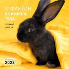 Обложка 12 фактов о символе года. Черный кролик. Календарь настенный на 2023 год (300х300) 