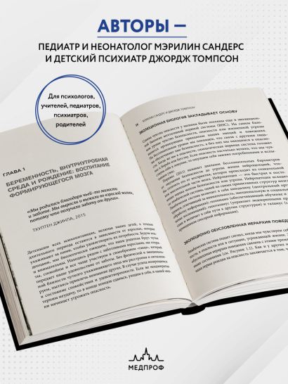 Поливагальная теория: использование блуждающего нерва в работе с детской психотравмой