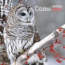 Совы. Календарь настенный на 2023 год (300х300)