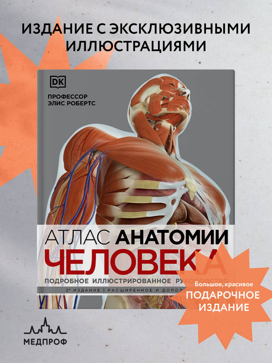 Купить книгу: «Атлас анатомии человека» онлайн • БОМБОРА •  ISBN:978-5-04-164296-9