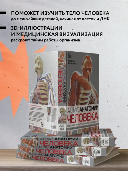 Атлас анатомии человека