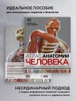 Атлас анатомии человека