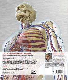 Обложка сзади Атлас анатомии человека. Подробное иллюстрированное руководство Элис Робертс