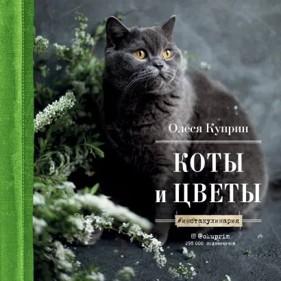 Обложка Коты и цветы. Календарь настенный на 2023 год (Олеся Куприн) (300х300 мм) 