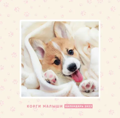 Обложка Корги малыши. Календарь настенный на 2023 год (300х300 мм) 