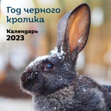 Обложка Год черного кролика. Календарь настенный на 2023 год (300х300) 