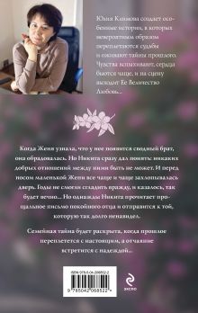 Обложка сзади Когда встречаются мосты Юлия Климова