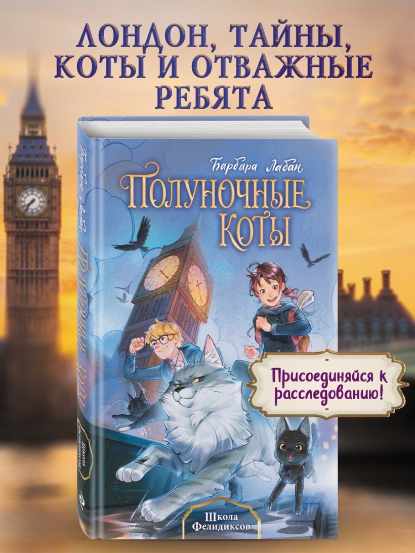 «Школа Фелидиксов» - новинка о магии, расследованиях и котиках!