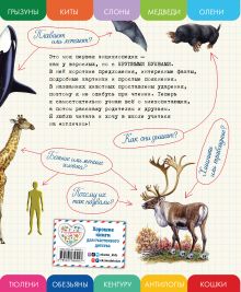 Обложка сзади Все млекопитающие с крупными буквами Елена Ананьева