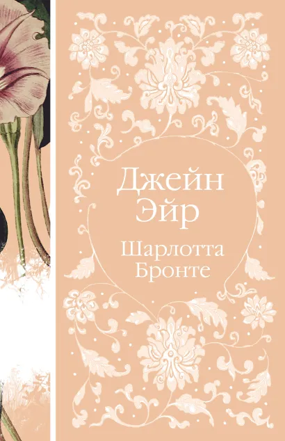 Обложка Джейн Эйр Шарлотта Бронте
