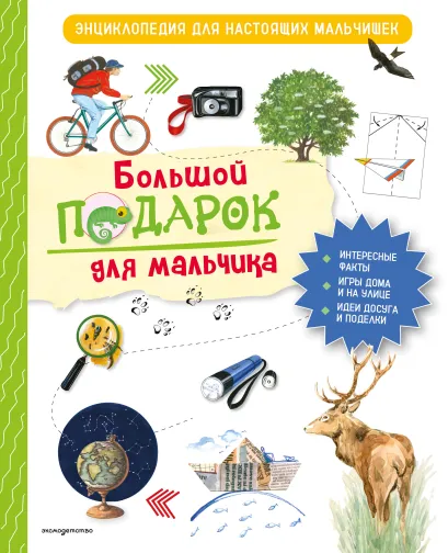 Обложка Большой подарок для мальчика. Энциклопедия для настоящих мальчишек Анастасия Занонцелли