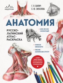 Анатомия: русско-латинский атлас-раскраска (новое оформление)