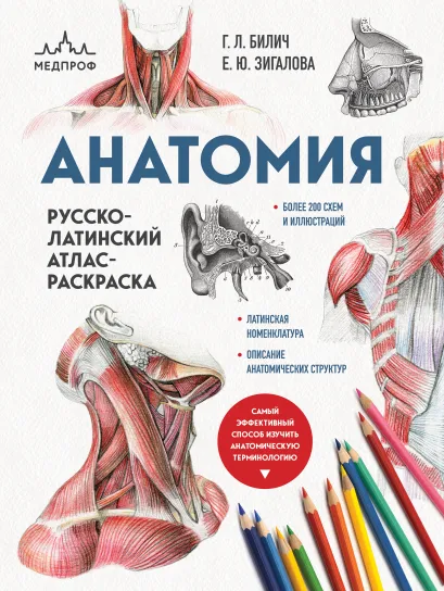 Обложка Анатомия: русско-латинский атлас-раскраска (новое оформление, новый формат) Г. Л. Билич, Е. Ю. Зигалова