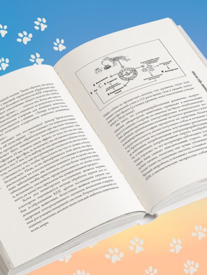 Собака навсегда. The forever dog. Прорывное научное открытие, которое поможет сохранить здоровье и продлить жизнь вашей собаке