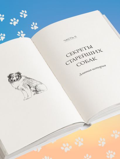 Собака навсегда. The forever dog. Прорывное научное открытие, которое поможет сохранить здоровье и продлить жизнь вашей собаке