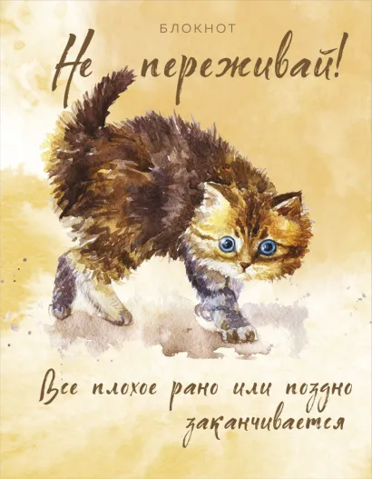 Обложка Блокнот. Не переживай! Все плохое рано или поздно заканчивается