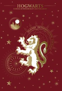 Гриффиндор. Блокнот 1 (для комплекта)