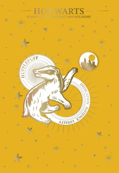 Обложка Пуффендуй. Блокнот 1 (для комплекта) 