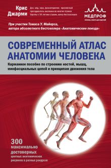 Современный атлас анатомии человека. Карманное пособие по строению костей, мышц, миофасциальных цепей и принципам движения тела