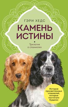 Обложка Камень истины