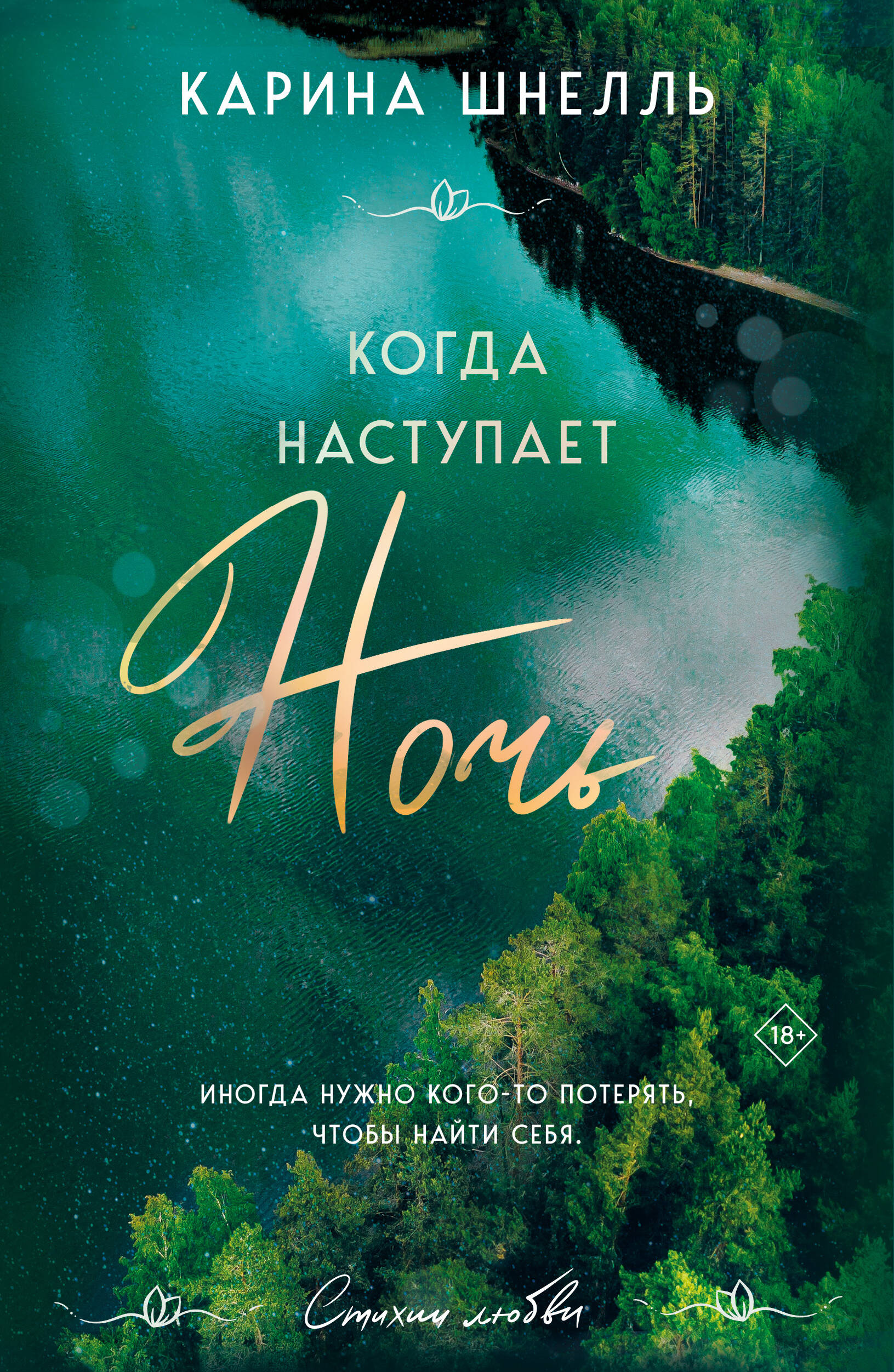  книга Когда наступает ночь