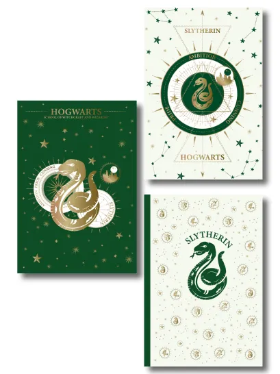 Обложка Комплект. Факультет Слизерин. Набор блокнотов для амбициозных и находчивых (3 в комплекте) 