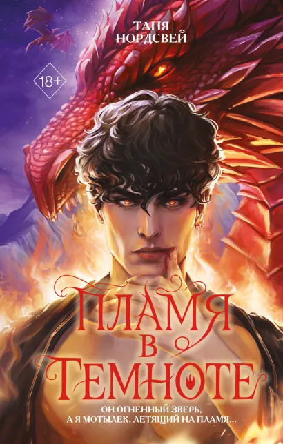 Обложка Пламя в темноте Таня Нордсвей