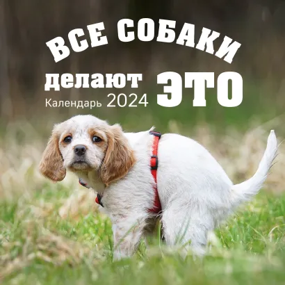 Обложка Все собаки делают это. Календарь настенный на 2024 год (300х300) 