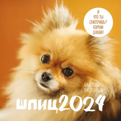 Обложка Шпицы. Календарь настенный на 2024 год (300х300) 