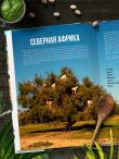 Кулинарная география. 90 лучших семейных ужинов со всех концов света