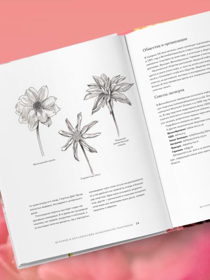 Георгины. Необыкновенные цветы для дома и сада