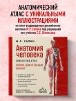 Анатомия человека. Компактный атлас. Опорно-двигательный аппарат