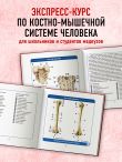Анатомия человека. Компактный атлас. Опорно-двигательный аппарат