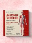 Анатомия человека. Компактный атлас. Опорно-двигательный аппарат