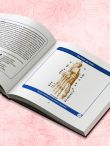 Анатомия человека. Компактный атлас. Опорно-двигательный аппарат