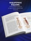 Фундамент безупречного тела. Элитная программа тренировок для формирования каркаса спины