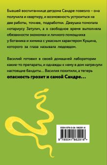 Обложка сзади Хеппи-энд на две персоны Рина Осинкина