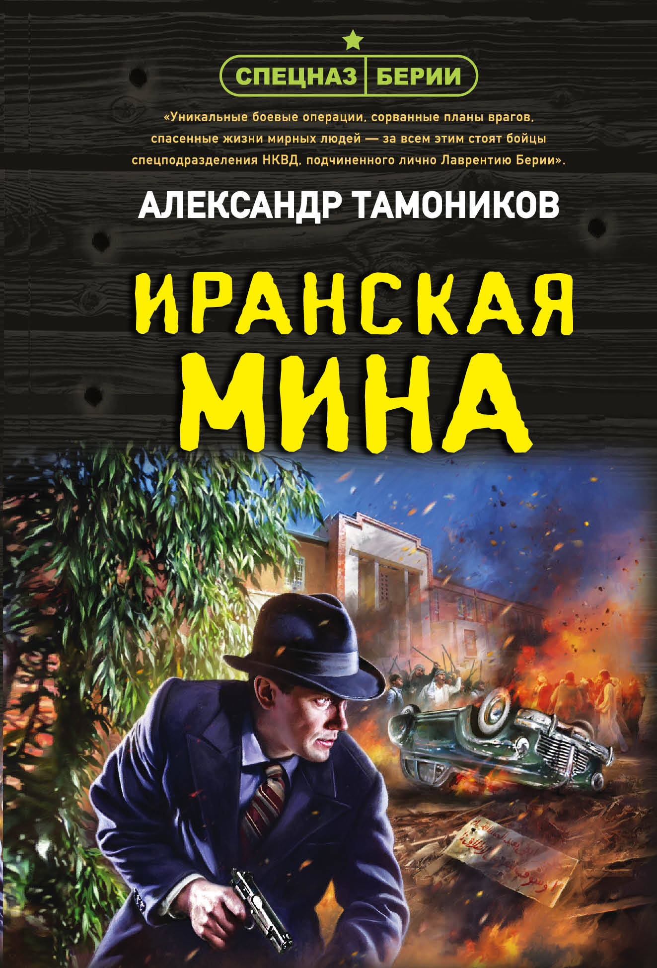  книга Иранская мина