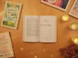 Куриный бульон для души. Не могу поверить, что это сделала моя кошка! 101 история об удивительных выходках любимых питомцев