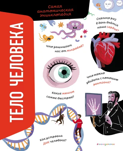 Обложка Тело человека. Самая анатомическая энциклопедия Анна Романо