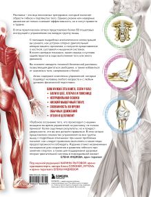 Обложка сзади Анатомия растяжки. Иллюстрированное руководство для развития гибкости мышц и подвижности суставов Анка Мейер, Джон В. Джекнью, Жорди Вигуэ