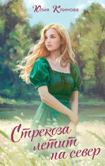 Обложка Стрекоза летит на север Юлия Климова