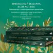 Гримуар травницы. Иллюстрированный справочник по сбору, заготовкам и полезным свойствам дикорастущих растений