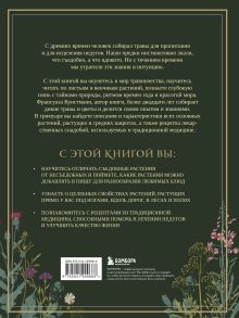 Обложка сзади Гримуар травницы. Иллюстрированный справочник по сбору, заготовкам и полезным свойствам дикорастущих растений Франсуаза Кунстманн