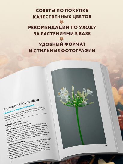 Цветы для букета. Справочник срезанных цветов для начинающего флориста. Что и когда покупать и как продлить цветам жизнь