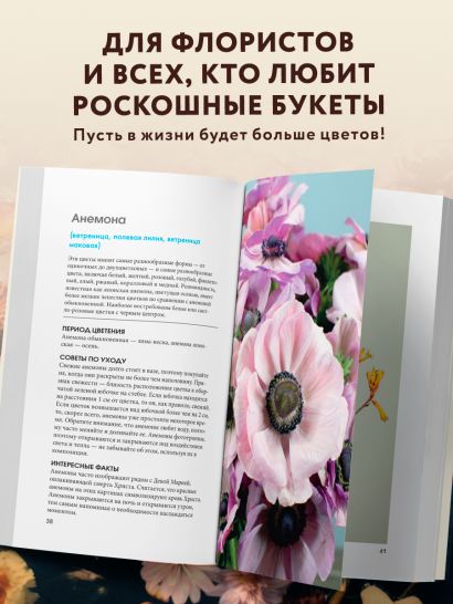 Цветы для букета. Справочник срезанных цветов для начинающего флориста. Что и когда покупать и как продлить цветам жизнь